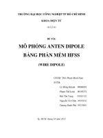 Bài tiểu luận  mô phỏng anten dipole bằng phần mềm HFSS 