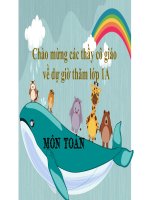 Toán học 1 các số có hai chữ số sách cánh diều 
