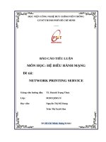 BAO CAO HDH MANG (Network Printing Services)