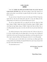 Luận văn giải pháp tổng thể tiêu thoát nước nhiêu lộc thị nghè thành phố hồ chí minh 