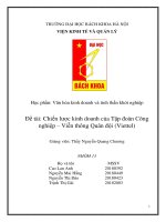 Chiến lược kinh doanh của Tập đoàn Công nghiệp  Viễn thông Quân đội Viettel