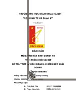 Tiểu luận TRIẾT LÝ KINH DOANH, CHIẾN LƯỢC KINH DOANH CỦA VIETINBANK