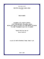 Nghiên cứu nhân giống cây chanh dây (passiflora edulis) bằng kỹ thuật nuôi cấy lớp mỏng tế bào và thử nghiệm tạo cây vi ghép TT 