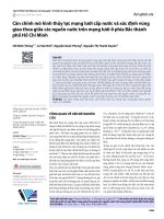 Cân chỉnh mô hình thủy lực mạng lưới cấp nước và xác định vùng giao thoa giữa các nguồn nước trên mạng lưới ở phía Bắc thành phố Hồ Chí Minh