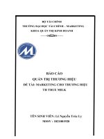 BÁO CÁO QUẢN TRỊ THƯƠNG HIỆU đề TÀI MARKETING CHO THƯƠNG HIỆU TH TRUE MILK 