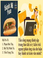 Tấn công mạng đánh sập trang báo khi có ý kiến trái ngược phản ứng của dư luận hay hành xử kém văn minh 