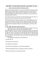 mô hình thương mại điện tử B2C