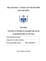 Tiểu luận tìm hiểu về chế định tài sản,phân loại tài sản trong bộ luật dân sự việt nam 