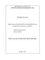 Nghiên cứu quá trình nhiệt phân bã mía thành nhiên liệu lỏng sử dụng chất xúc tác trên cơ sở HZSM 5 TT 