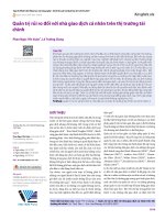 Quản trị rủi ro đối với nhà giao dịch cá nhân trên thị trường tài chính