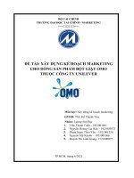 XÂY DỰNG KẾ HOẠCH MARKETING  CHO DÒNG SẢN PHẨM BỘT GIẶT OMO  THUỘC CÔNG TY UNILEVER