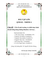 Chủ đề yếu tố môi trường và chiến lược kinh doanh hãng hàng không bamboo airways