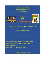 TIỂU LUẬN CUỐI VOVINAM VIỆT VÕ đạo đề tài tiểu phẩm võ nhạc 