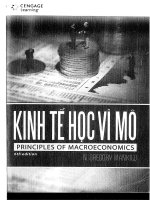 UEH  Kinh tế vĩ mô Mankiw