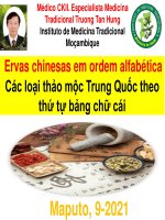 tên vị thuốc trung quốc a  đến z