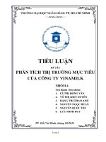 Tiểu luận  phân tích thị trường mục tiêu của công ty vinamilk 