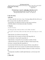 KHBD mĩ THUẬT 8( t19 20) CV 5512 