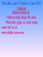 Tuan 11 Ngheviet Cay xoai cua ong em