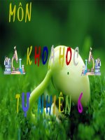 MÔN KHOA HỌC TỰ NHIÊN 6) BÀI 1: GIỚI THIỆU VỀ KHOA HỌC TỰ NHIÊN  CHÂN TRỜI SÁNG TẠO