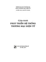 Giáo trình phát triển hệ thống thương mại điện tử (NXB thống kê 2014)   nguyễn văn minh, 315 trang