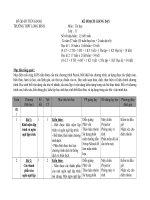 Ke hoach giang day Tin hoc 11
