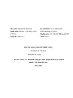 TIỂU LUẬN KINH TẾ PHÁT TRIỂN