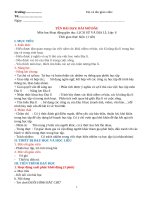 GIÁO án địa 6 CÁNH DIỀU