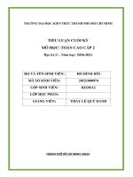 TIỂU LUẬN CUỐI KỲ MÔ HỌC TOÁN CAO CẤP 2  