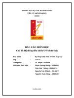 Báo cáo hệ thống điện điện tử