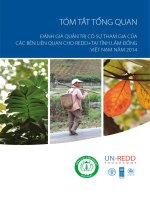 TÓM TẮT TỔNG QUAN ĐÁNH GIÁ QUẢN TRỊ CÓ SỰ THAM GIA CỦA CÁC BÊN LIÊN QUAN CHO REDD+TẠI TỈNH LÂM ĐỒNG VIỆT NAM NĂM 2014