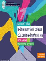 Thuyết trình về dân chủ   nền dân chủ xã hội chủ nghĩa   những nguyên lý cơ bản của chủ nghĩa mác lê nin 