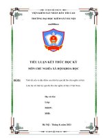 Tiểu luận Chủ nghĩa xã hội khoa học  Tính tất yếu và đặc điểm của thời kỳ quá độ lên chủ nghĩa xã hội.  Liên hệ với thời kỳ quá độ lên chủ nghĩa xã hội ở Việt Nam.