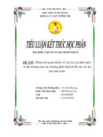 TIỂU LUẬN: Phân tích quan điểm về vai trò của nhà nước và thị trường của các trường phái kinh tế đề cao vai trò của nhà nước