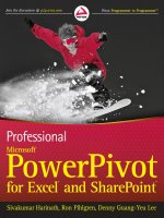 Microsoft powerpivot for excel and sharepoint 