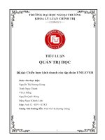 Bài Tiểu luận Quản trị học Chiến lược kinh doanh tập đoàn UNILEVER nhóm FTU