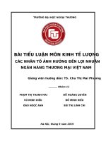BÀI TIỂU LUẬN MÔN KINH TẾ LƯỢNG CÁC NHÂN TỐ ẢNH HƯỞNG đến LỢI NHUẬN NGÂN HÀNG THƯƠNG MẠI VIỆT NAM 