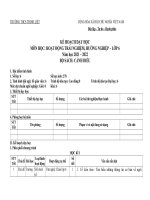 PHỤ lục 1 HĐTN HN6 cánh diều 