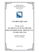 Giá trị của các di sản thế giới tại Việt Nam  Phân tích điểm mạnh  điểm yếu của Văn hóa Việt Nam