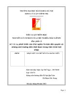 Tiểu luận Sự phát triển của Chủ nghĩa Tư bản độc quyền và những ảnh hưởng đến Việt Nam trong tiến trình hội nhập