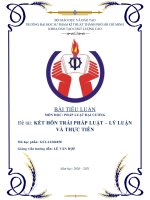 Đề tài KẾT HÔN TRÁI PHÁP LUẬT – LÝ LUẬN VÀ THỰC TIỄN 