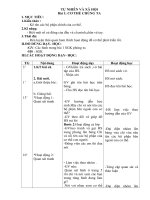 tu nhien xa hoi lop 1