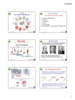 Bai giang Sinh hoc dong vat va phan loai