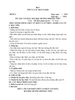 Giáo án dạy thêm ngữ văn 6, sách kết nối tri thức với cuộc sống (học kì 1, chất lượng)