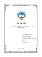 ĐỀ TÀI thực trạng cổ phần hóa doanh nghiệp nhà nước ở việt nam hiện nay 