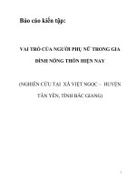 Tiểu luận VAI TRÒ của NGƯỜI PHỤ nữ TRONG GIA ĐÌNH NÔNG THÔN HIỆN NAY