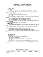 ve dep cac loai chim 2015 2016