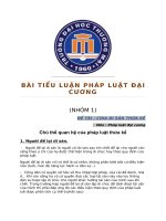 BÀI TIỂU LUẬN PHÁP LUẬT ĐẠI CƯƠNG  Chủ thể quan hệ của pháp luật thừa kế