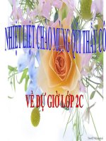 Tuan 11 Cay xoai cua ong em