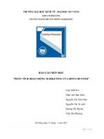 BÁO CÁO MÔN HỌC  PHÂN TÍCH HOẠT ĐỘNG MARKETING CỦA BITI’S HUNTER 