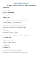 giao an tieng anh lop 2 sach ket noi tri thuc voi cuoc song